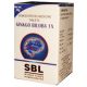 SBL Ginkgo Biloba 1X Tablets